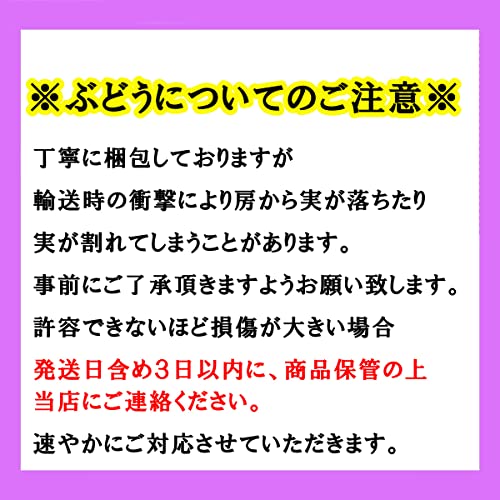 ノーブランド品 晴王シャインマスカット の商品画像 5