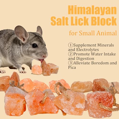 Pierre à lécher rongeur et bloc de sel minéral pour chinchilla Hamiledyi