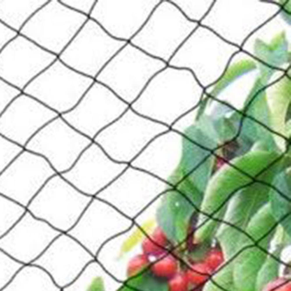 Armastuse 6 X 10 M Filet De Protection Des Oiseaux, Jardin Pour Plantes