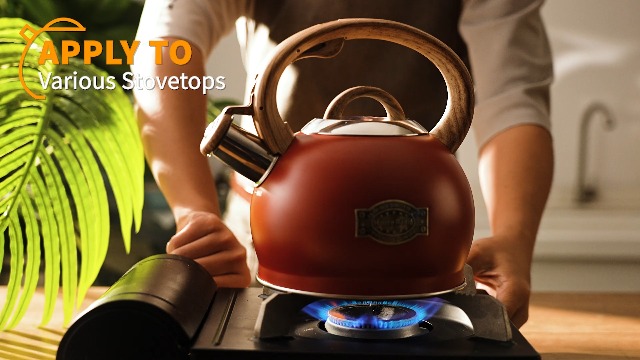 Amazon.com: Hauce Radio Tea Kettle for Stovetop, 2.1 Quart Loud