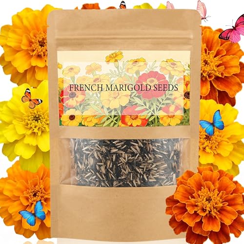 LUOJIBIE French Marigold Seeds for Planting Outdoors Giant Marigold Flowers Seeds Bulk for 2026 Over 4 000+ Seeds Prolific Blooms Ideal for Vibrant Pollinator Gardens