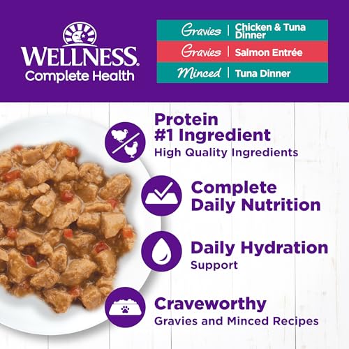 Image of Wellness Complete Health Gravy and Minced Variety Pack Adult Canned Wet Cat Food, Natural, Protein Rich, Grain Free, Salmon, Tuna, and Chicken Recipes, 3 oz, Pack of 12 Cans
