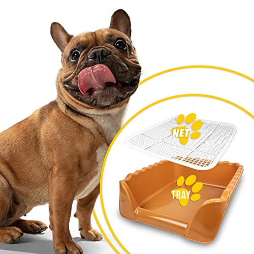 Image of Lutema Indoor /Outdoor Training Dog Potty Tray for Small and Medium Puppies Litter Boxes in (Orange Brown)