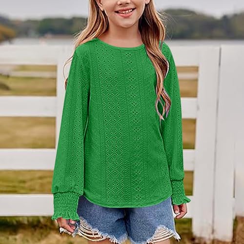 Girls Long Sleeve Eyelet Lace Blouse Casual Crewneck Lightweight Top Soft Shirt for Spring and Fall4