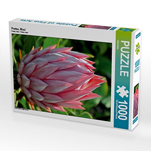 Puzzle 1000 pièces Protea Maui Calvendo une création photo apaisante pour des heures de pur bonheur