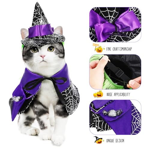 Disfraz Halloween para Perros Pequeños Capa y Sombrero miniatura 4