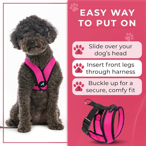 Image of Gooby Comfort X Head-in Dog Harness, Choke-Free, Flamingo Pink, Small