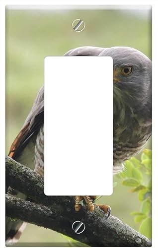 Switch Plate Single RockerGFCI - Nature The India Quindio Avez