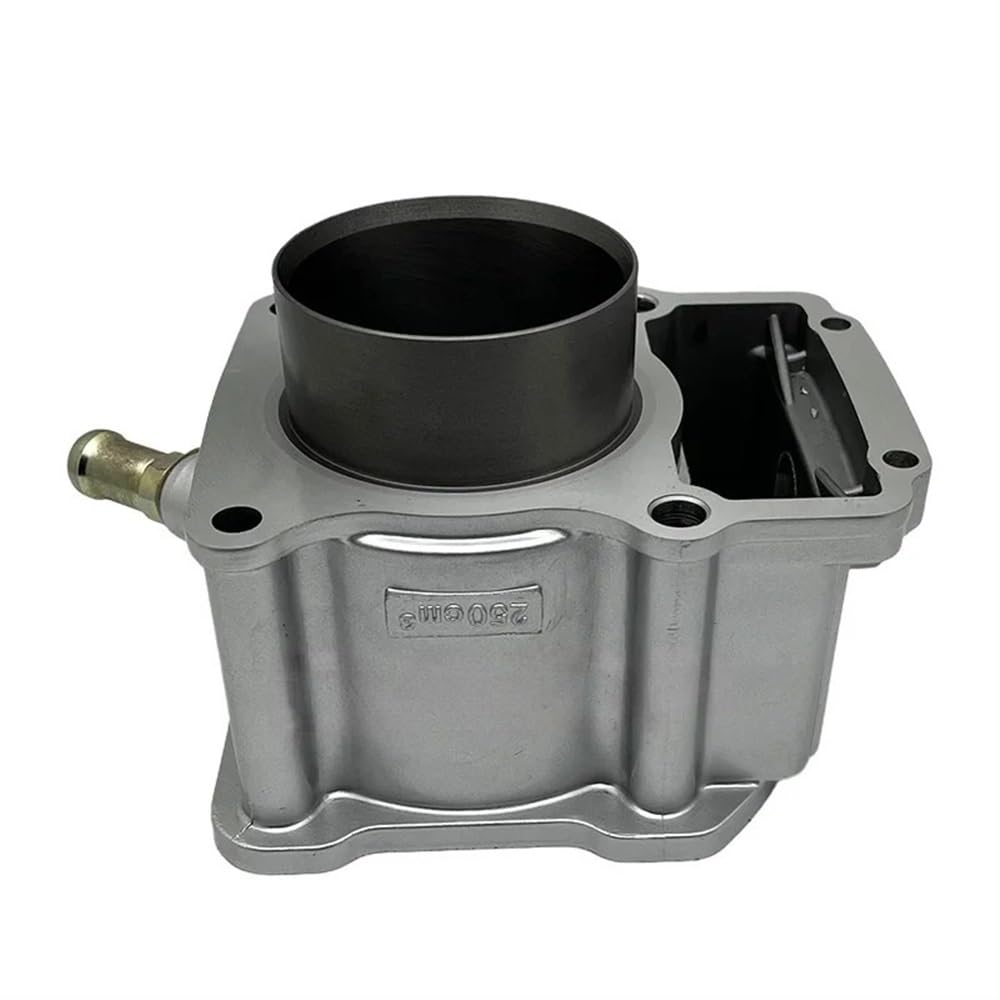 Zongshen CG250 woda 67mm blok cylindrów silnika sworzeń tłokowy 16mm montaż do motocykla trójkołowego motocykl ATV QUAD BUGGY części zamienne Akcesoria motocyklowe