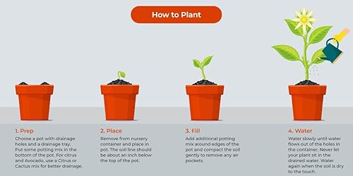 Miniatura 3 de EZ Growing Plants Twist-N-Shout Hortensia de 1 galón con hermosos tallos rojos