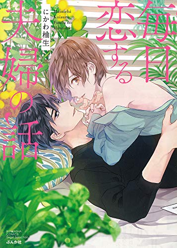 毎日恋する夫婦の話