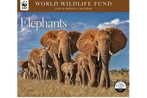 Discover the Majesty of Elephants with the Captivating 2020 Elephant Calendar