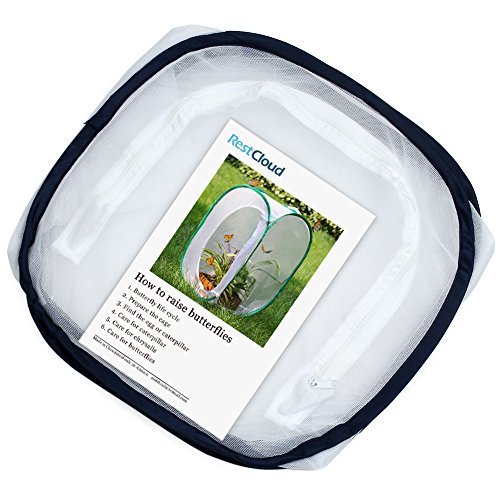 Image of Insect and Butterfly Habitat Cage Terrarium Pop-up 12 X 12 X 12 Inches (Pack of 2)