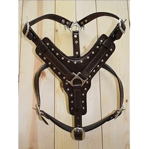 Brown Large HILASON Genuine Leather Dog Harness with Leash Brown Large | Dog Harness | Dog Leash | Leather Dog Leash | Dog Walking Harness | Dog Harness with Leash | Dog Leash Harness