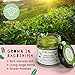 PureChimp Ceremonial Grade Matcha Powder 1.75oz. Pure Japanese Matcha Ceremonial Grade Tea, Shade-Grown in Kagoshima. Antioxidant-Rich Green Tea Powder for Lattes. Recyclable Glass Jar, Unsweetened
