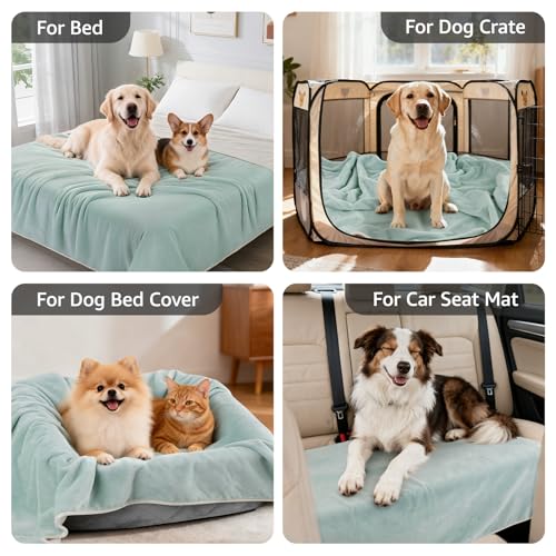 Image of LOOBANI Waterproof Dog Blanket for Couch: Reversible Flannel Bed Blanket for Medium Large Dogs Liquid Proof, Soft Throw Blanket Couch Cover Protector for Sofa, Crate, Travel, Picnic, 50 inch x 60 inch, Green