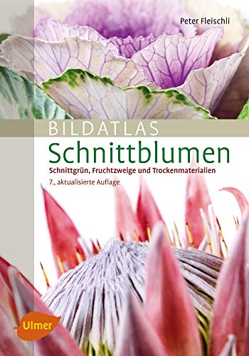 Bildatlas Schnittblumen: Schnittgrün, Fruchtzweige...