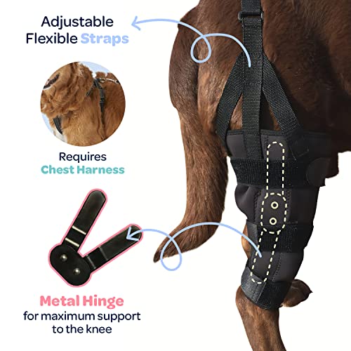 Image of Labra Dog Canine Knee Stifle Brace Wrap, Metal Splint Hinged Flexible Support Brace for K9 ACL, CCL, Luxating Patella, Cruciate Ligament Sprains in Back Hind Leg, Large - Right Knee, 75-100 lb Dogs