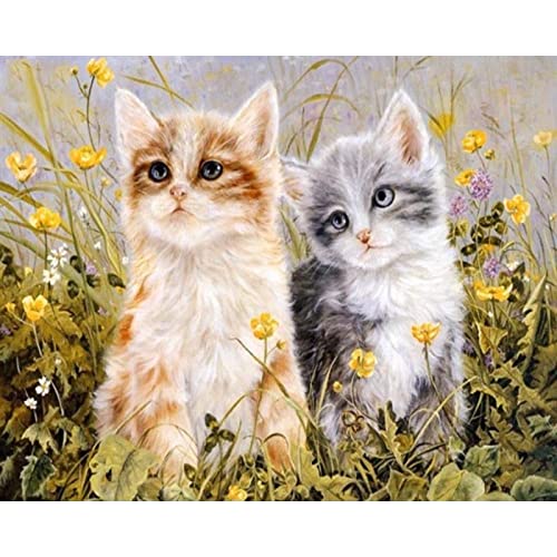 Kit d'art diamant chat et fleurs, le cadeau amusant pour adultes créatifs