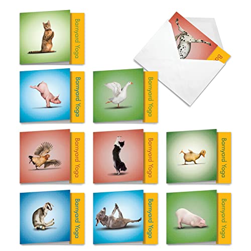 Cartes de voeux vierges assorties Barnyard Zen lot de 10 pour correspondance drôle