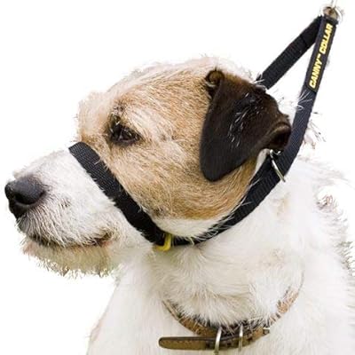Collars to stop dogs from pulling Clearance