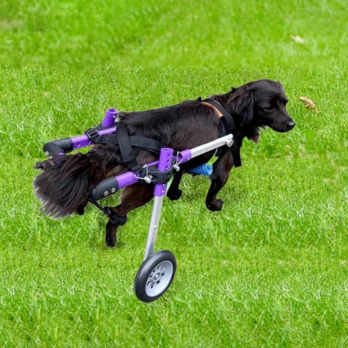 調整可能なペットカート車椅子、 調節可能な2輪犬用車椅子 アルミ合金 XS/Sサイズ 小型/中型/大型ペット用(S)
