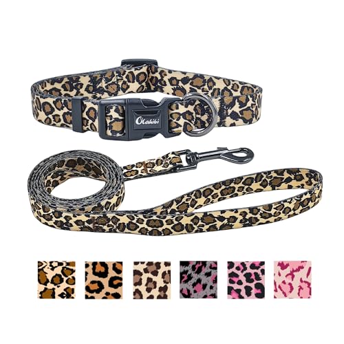 Collar and Leash The 15 best products compared Wild Explained