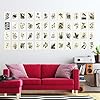 Artery8 Set Pack of 50 John James Audubon Birds of America Illustrations Collage Kit Bedroom A6 14.8 x 10.5 cm (5.8 x 4.1) #2