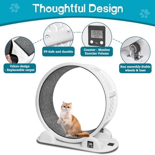 CAWUWE Roda de exercício grande para gatos com pedômetro, roda para gatos de 105 cm com pista de atp