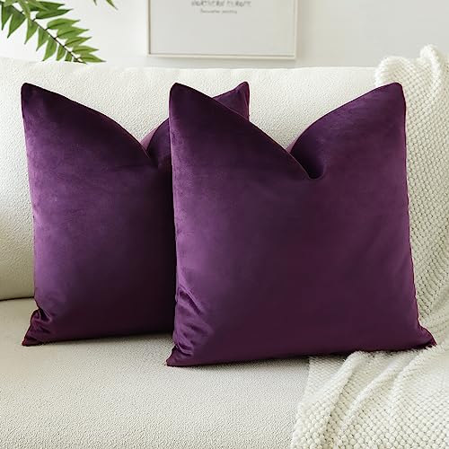 JOTOM Lot de 2 Housses de Coussins en Velours Décoratif Canapé Taie d'oreiller Doux Decoration pour Maison Salon Chambre Canapé Décoration 40x40cm...