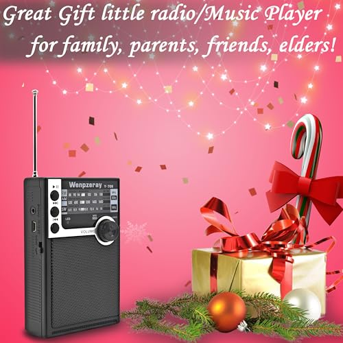 Radio portátil Y706 y D218 AM FM SW con altavoz BT miniatura 4