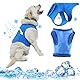 TYXHXTF Kühlweste für Hunde, Kühljacke mit Klettverschluss, Kühlmantel für Haustiere Sommer für Outdoor Wandern Training (M, Blau)