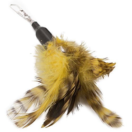 The Natural Pet Company Cat Toys Feather Refill 6 Pack - Add Life To Your Cat's Favorite Toy With This Interchangeable Feather Refill Multipack (As Photographed). #TOP3