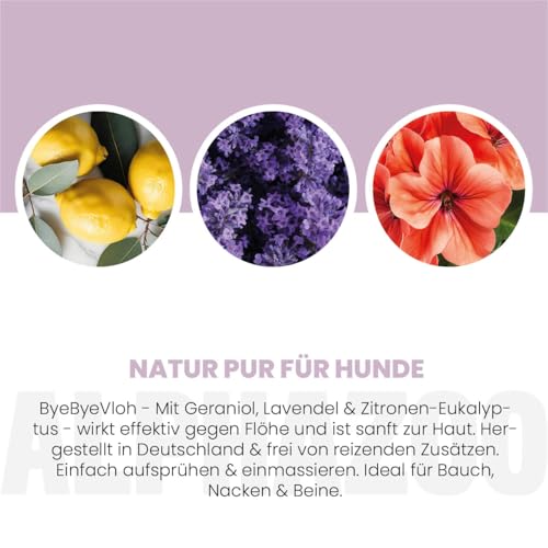 alphazoo Bye Bye Vloh Spray für Hunde 100 ml – mit Lavendel, Geraniol & Zitronen-Eukalyptus. Hilft gegen Flöhe, sanft zur Haut & ohne Alkohol. Natürlicher Schutz, pflegend & hautfreundlich.