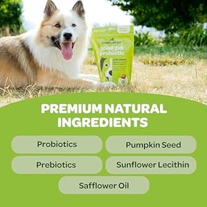   Probiotic-Chews-for-Dogs-Gut-Health-Tasty-Pro-and-Prebiotics-for-Dogs-Digestive-Health-Immunity-Itchy-Skin-Seasonal-Allergy-Support-with-Pumpkin-Dog-Probiotics-and-Digestive-Enzymes-60-Chews