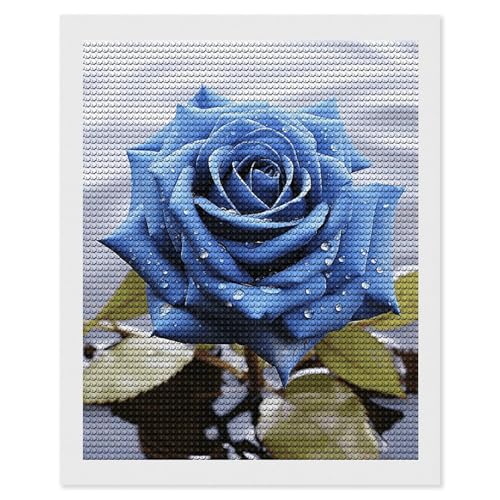 Peinture diamant 5D rose bleue pour decoration murale salon et chambre