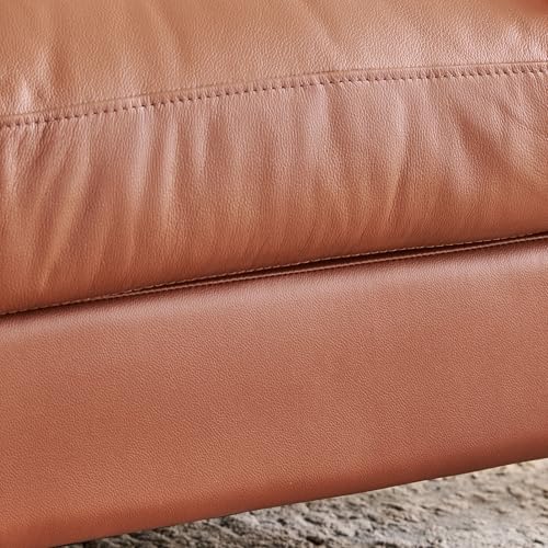 Image of Home Centre | Aprilla NXT Half Leather 1-Seater Sofa | Sofa for Living Room | Solid Wood | Tan | 1 Year Warranty