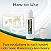 Benzedrex Nasal Decongestant Inhaler, 1 Count (Pack of 1)