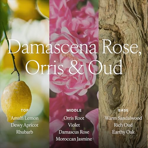 Image of Antica Farmacista Room Spray - Elegant House Spray - Long-Lasting, Room Fragrance - Luxury Gift for Housewarming - Damascena Rose, Orris & Oud, 3.4 fl oz