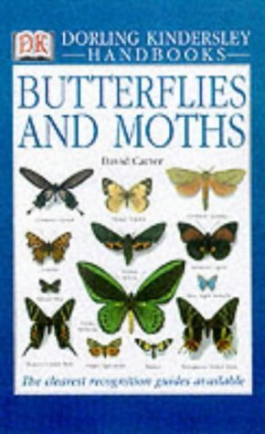 Buy DK Handbook: Butterflies and Moths (DK Handbooks) — BookShops.in