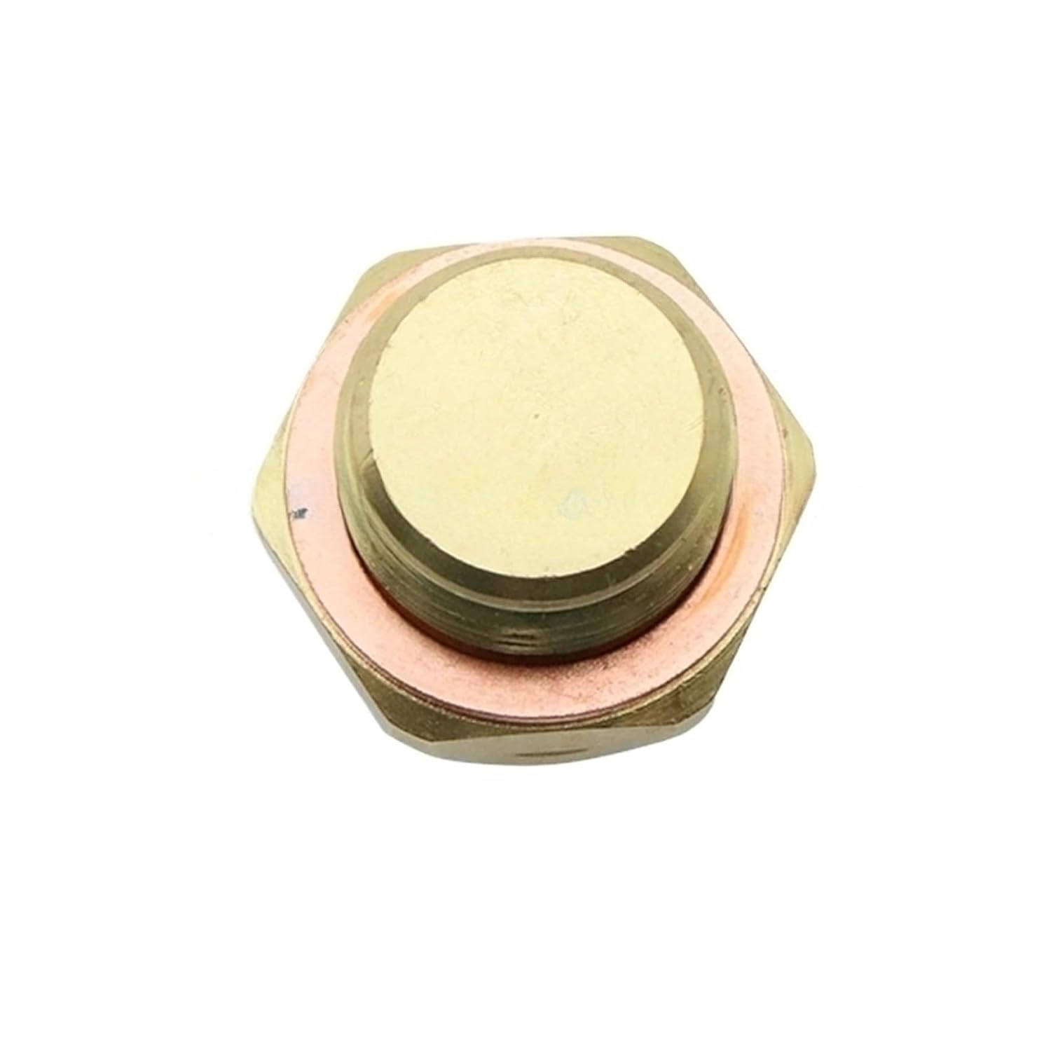 Temperature Control Switch