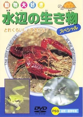 Amazon Co Jp 水辺の生き物スペシャル Dvd Dvd ブルーレイ キッズ