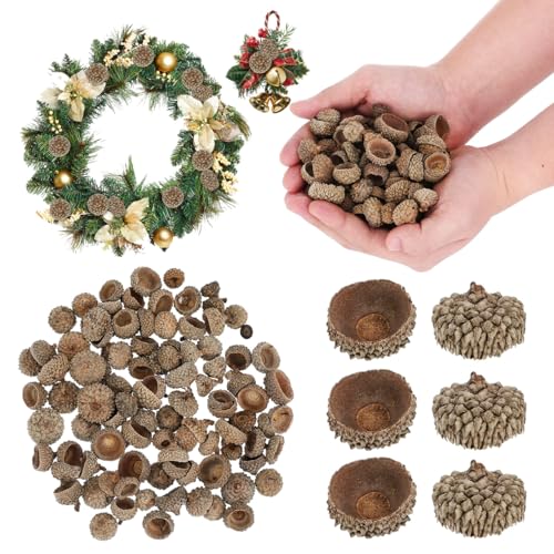Set de Adornos Naturales de Cáscara de Bellota 50 Pzs miniatura 1