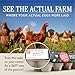 Vital Farms 18 Pasture-Raised Eggs, Large, Brown, Grade A, Certified Humane, 1.5 Dozen