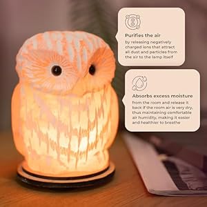 Owl crystal salt lamp h 67 44 lbs pure natural rock saltunique night light lamp 1 light bulb as a gift wooden present box holiday gift ideas cool room decor  urban country home decor