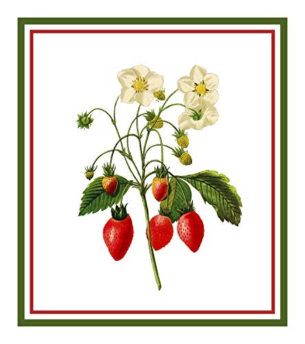 Orenco Originals Strawberries Botanical by Redoute Counted Cross Stitch Pattern