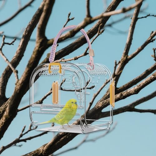 Cage transport portable pour petits perroquets stressés en déplacement