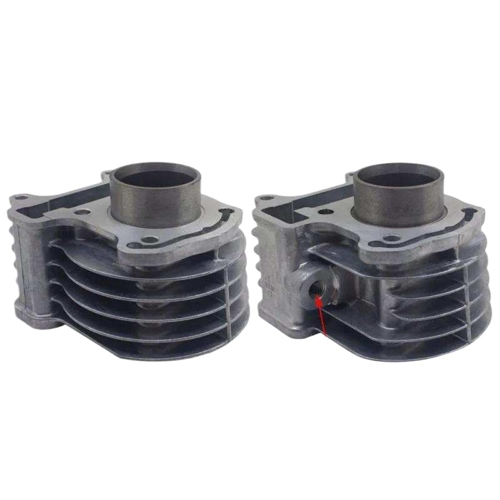 Kit guarnizioni anello pistone cilindro moto compatibile con DIO GIORNO VISION TODAY 50 NCH50 NSC50 NCH50 NVS50 NSK50 EFI CARB MODEL(carburetor model)