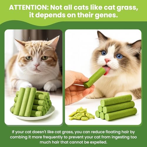 Cat-Grass-Sticks-Cat-Grass-Teething-Stick-and-Cats-Treats-Natural-Dental-Chews-for-Teeth-Cleaning-Hairball-Relief-Teething-Sticks-for-Indoor-Cats-Grain-Free