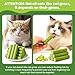 Cat Grass Sticks, 60 g Cat Grass Teething Stick and 50 g Cats Treats, Natural Dental Chews for Teeth Cleaning & Hairball Relief Teething Sticks for Indoor Cats Grain-Free